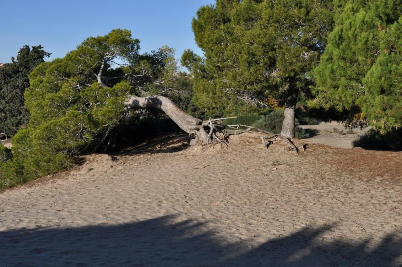 Costahispania 308 Gran Alacant Εξωτερικό φωτογραφία